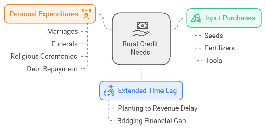 Rural Development Class 12 Economics