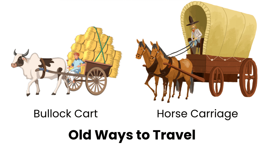 Means of Transport Class 1 Notes EVS