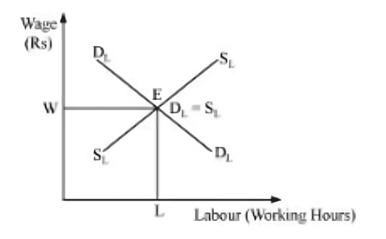 NCERT Solutions for Class 11 Economics - Market Equilibrium
