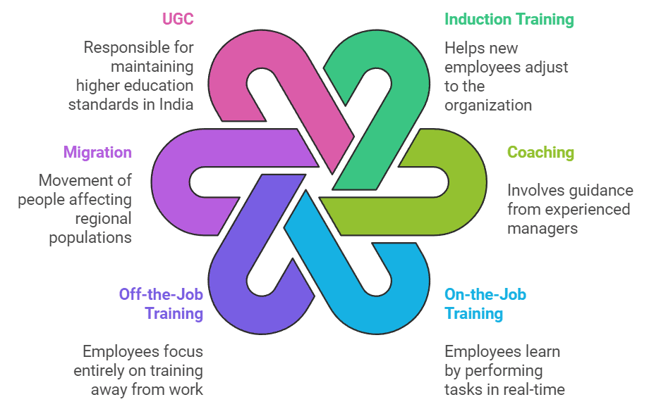 Human Capital Formation in India Class 12 Economics