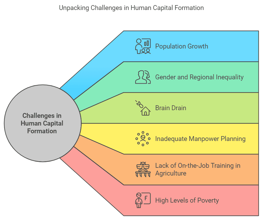 Human Capital Formation in India Class 12 Economics