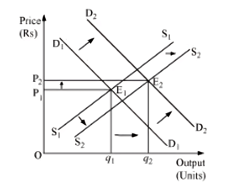 NCERT Solutions for Class 11 Economics - Market Equilibrium