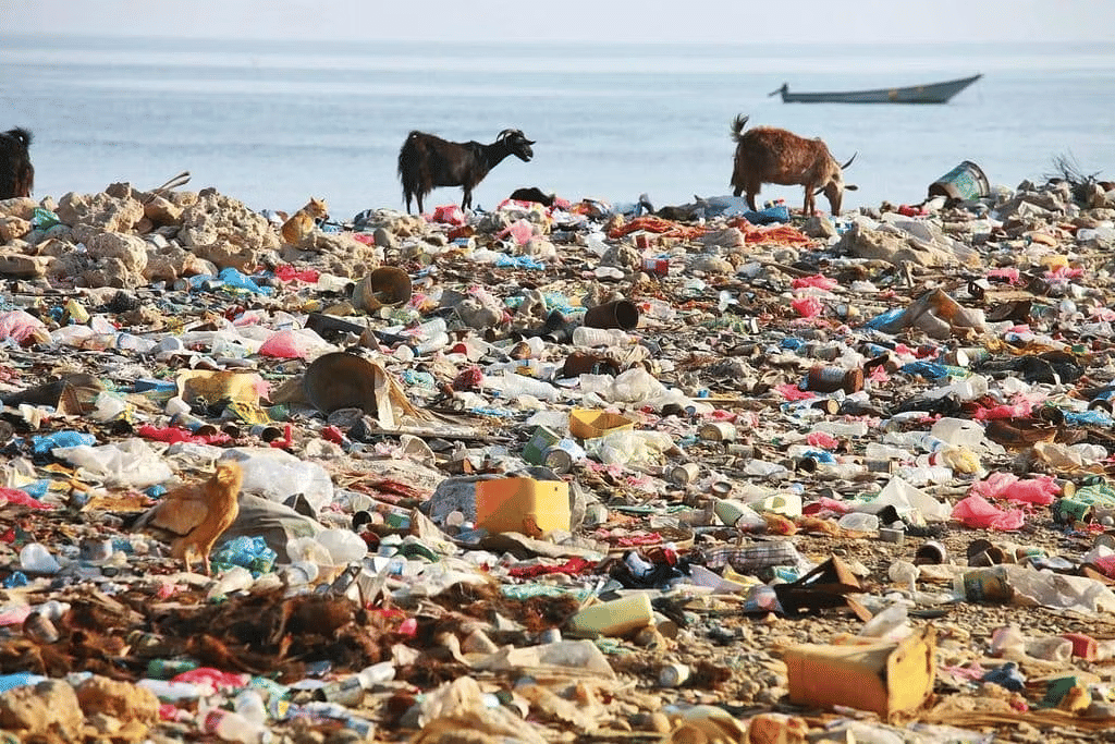 Notes: Pollution | Science Olympiad for Class 5