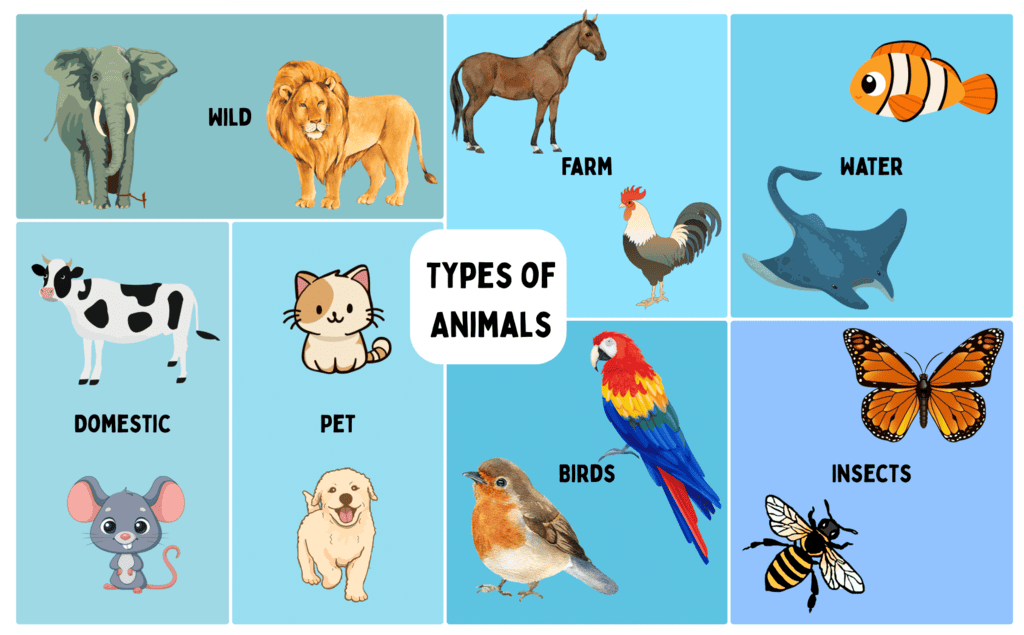 Animals- Food and Shelter Class 1 Notes EVS