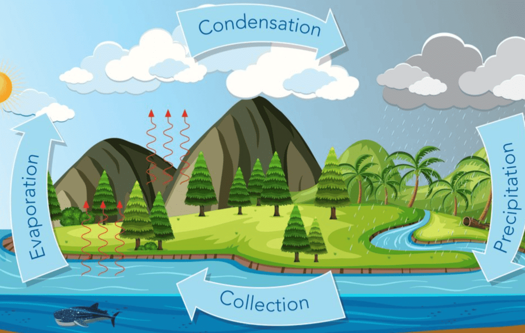 Very Short Question Answers: Oceans and Continents | Social Studies (SST) Class 6