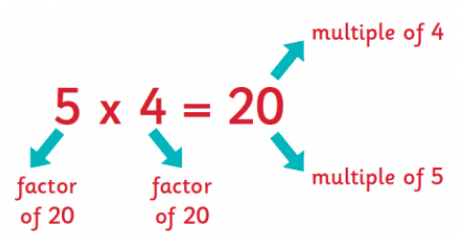 Be My Multiple, I’ll Be Your Factor Class 5 Notes Maths Chapter 6