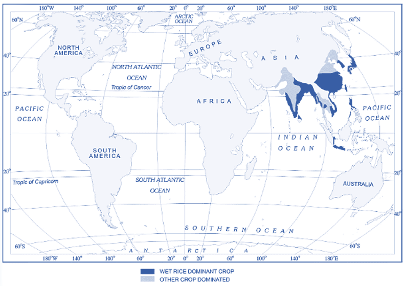 Primary Activities Hunting And Gathering Class 12 Geography
