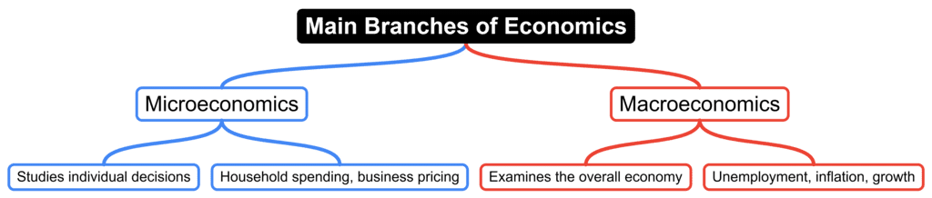 Introduction to Micro Economics Class 12 Economics