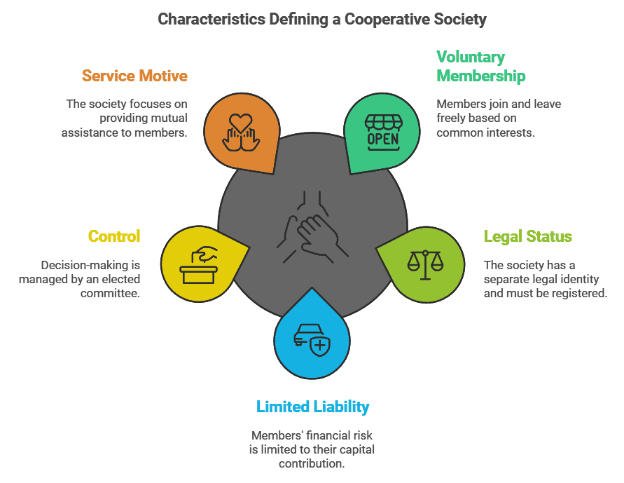 Forms of Business Organisations Chapter Notes | Business Studies (BST) Class 11 - Commerce