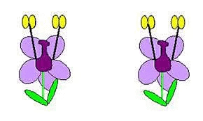 Class 5 Science - Living Things - CBSE Worksheets - 2
