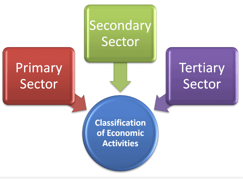 Very Short Question Answers: Economic Activities Around Us | Social Studies (SST) Class 6