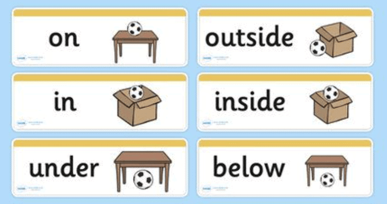 Finding the Furry Cat! (Pre-number Concepts) Class 1 Notes Maths