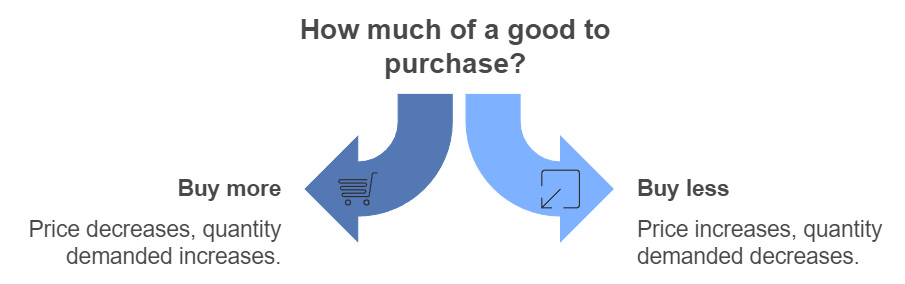 Consumer`s Equilibrium and Demand (Theory of Consumer Behaviour) Class 12 Economics