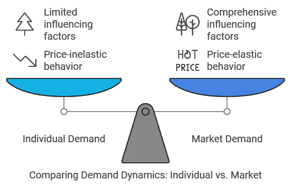 Theory Of Demand (Theory of Consumer Behaviour) Class 12 Economics