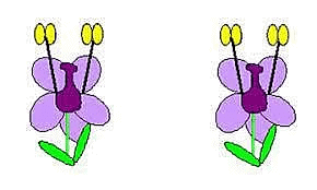 Class 5 Science - Living Things - CBSE Worksheets Solutions - 2