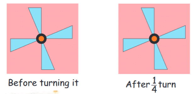 NCERT Solutions: Does It Look the Same?