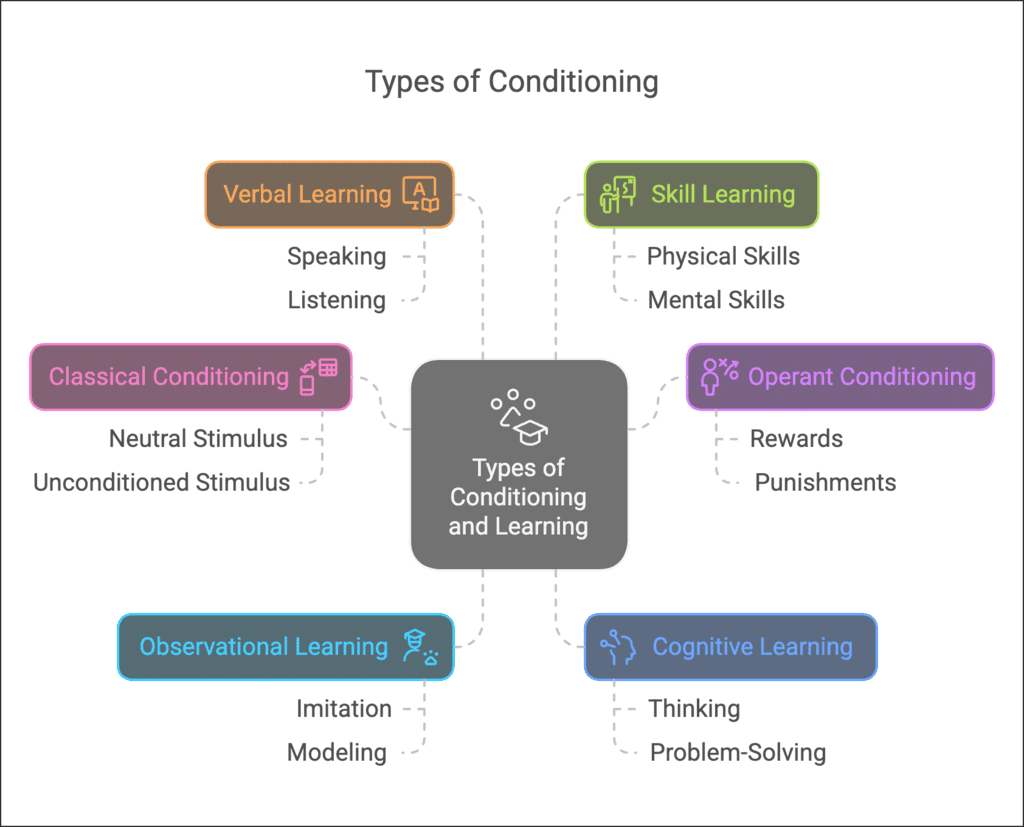 Learning Class 11 Psychology