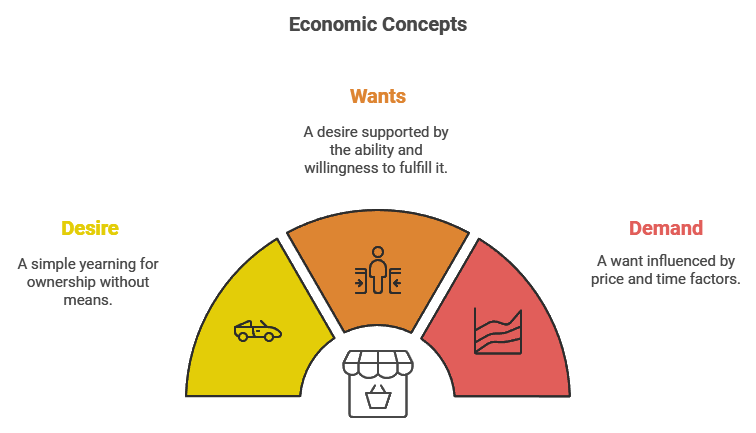 Theory Of Demand (Theory of Consumer Behaviour) Class 12 Economics