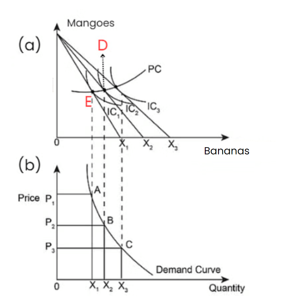 Consumer`s Equilibrium and Demand (Theory of Consumer Behaviour) Class 12 Economics