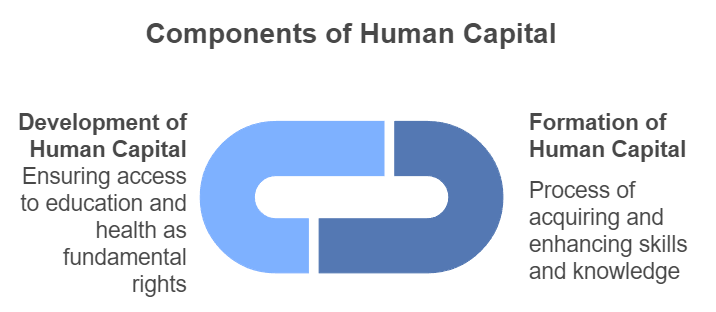 Human Capital Formation in India Class 12 Economics
