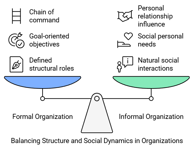 Case Studies - Organising | Business Studies (BST) Class 12 - Commerce