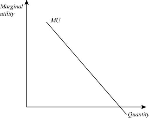 Class 11 Economics Short Questions With Answers - Theory Of Consumer Behaviour