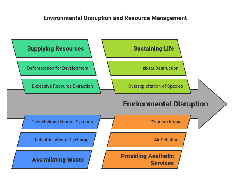Higher Order Thinking Skills - Environment and Sustainable Development | Economics Class 12 - Commerce