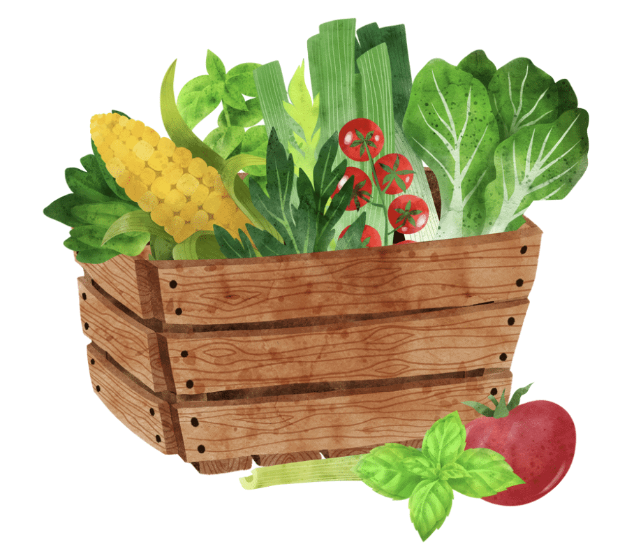 Food from Plants Class 1 Notes Science