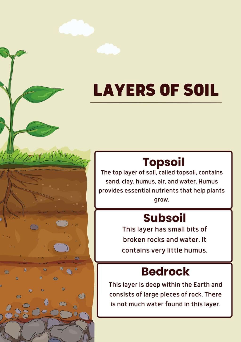 Learn at a Glance: Layers of Soil | Science Class 5