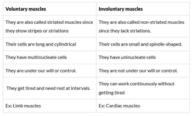 NCERT Exemplar: Tissues | Science Class 9