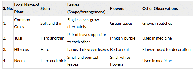 NCERT Based Activity: Diversity in the Living World | Science for Class 6