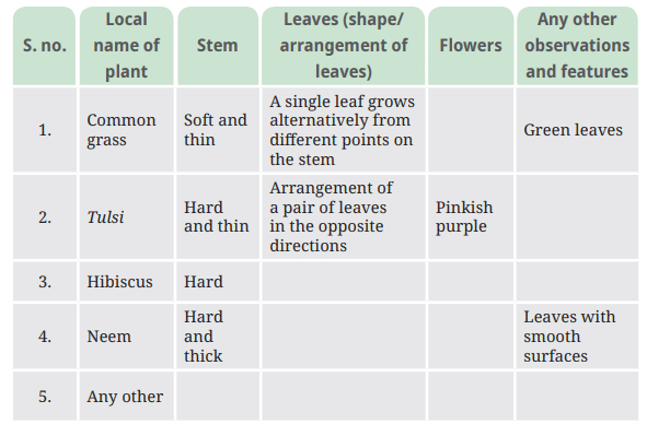 NCERT Based Activity: Diversity in the Living World | Science for Class 6