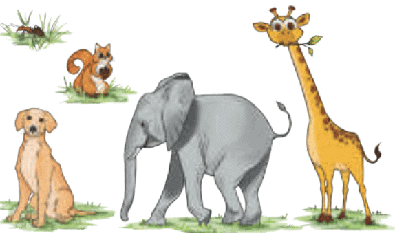 NCERT Solutions for Class 4 Maths Chapter 8 - Weigh It, Pour It