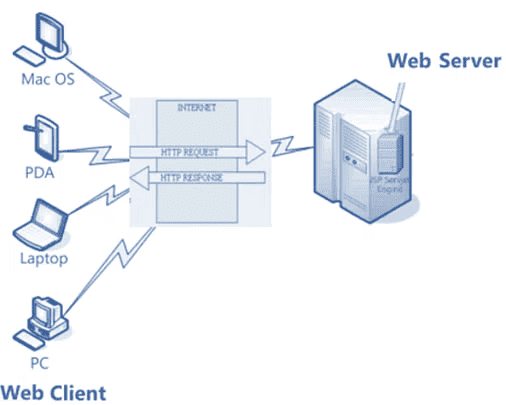 Internet Basics Chapter Notes | Computer Application: Class 10