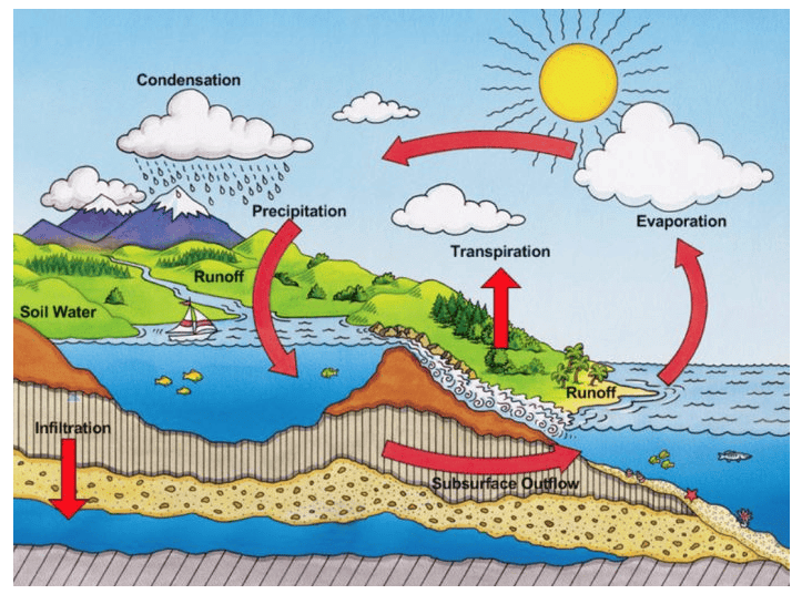 NCERT Solutions for Class 7 Social Science - Water