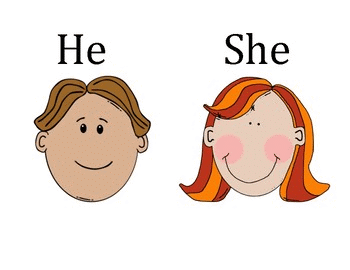 He or She Chapter Notes | English for Class 1 (Mridang)