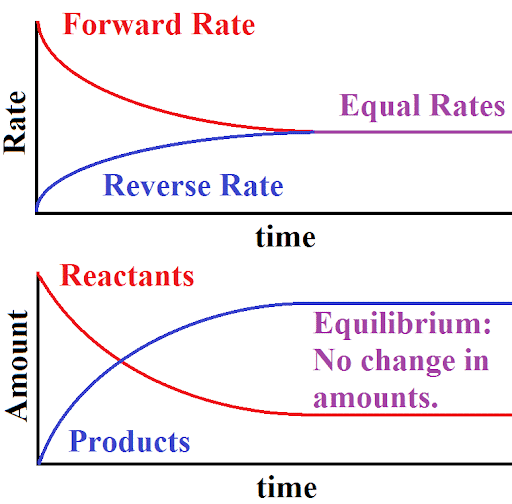 Chemical Equilibrium, Law of Mass Action & Applications | Physical Chemistry