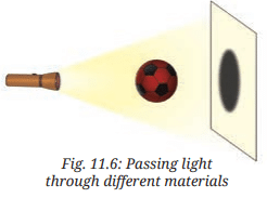 Class 7 Science Chapter 11 NCERT Based Activity - Light: Shadows and Reflections