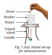 Class 7 Science Chapter 7 NCERT Based Activity - Heat Transfer in Nature