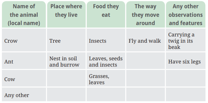 NCERT Based Activity: Diversity in the Living World | Science for Class 6
