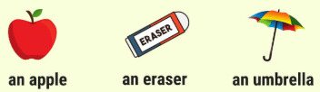 A, An or The Chapter Notes | English for Class 1 (Mridang)