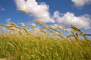 Air Summary Class 7 Geography Chapter 4