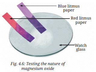 Class 7 Science Chapter 4 NCERT Based Activity - The World of Metals and Non-Metals