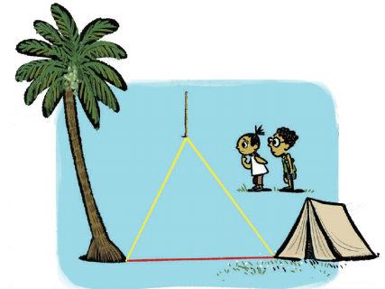 NCERT Solutions for Class 7 Maths Chapter 7 A Tale of Three Intersecting Lines