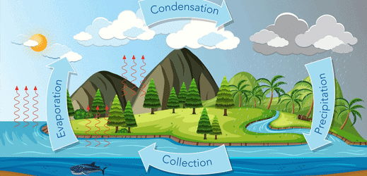 Short & Long Question Answers: Nature’s Treasures | Short & Long Answer Questions for Class 6