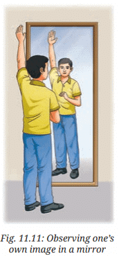 Class 7 Science Chapter 11 NCERT Based Activity - Light: Shadows and Reflections