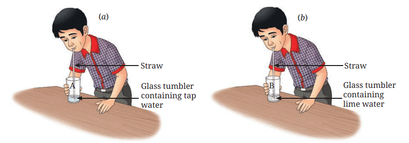Class 7 Science Chapter 5 NCERT Based Activity - Changes Around Us: Physical and Chemical