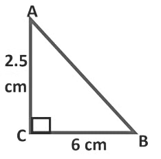 The Triangle and Its Properties Class 7 Notes Maths Chapter 6