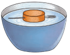 NCERT Based Activity: Exploring Magnets | Science for Class 6