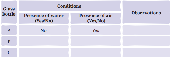 Class 7 Science Chapter 4 NCERT Based Activity - The World of Metals and Non-Metals